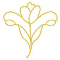 Logo Dra. Patrícia Menegusso